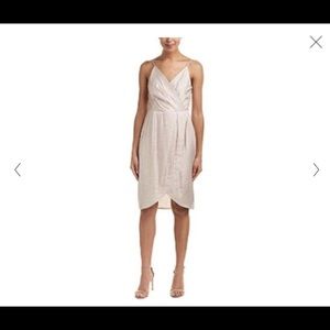 Cece by Cynthia Steffe Audrey Sweet Petal Dress.